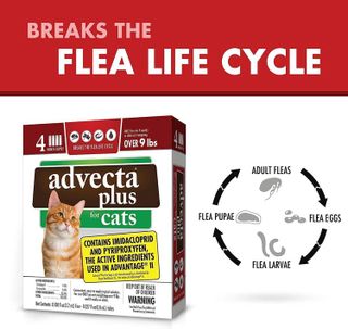 No. 9 - Advecta Plus Flea Prevention - 4