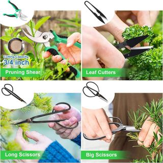 No. 4 - Bonsai Tree Care Kit - 2