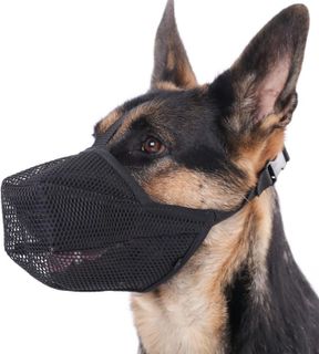 Top 10 Best Dog Muzzles for Training and Safety- 3