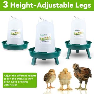 No. 9 - ZenxyHoC Poultry Feeder and Waterer Set - 3