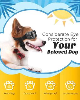 No. 9 - Lewondr Dog Sunglasses - 5