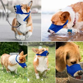 No. 4 - Coppthinktu Dog Muzzle Suit - 2