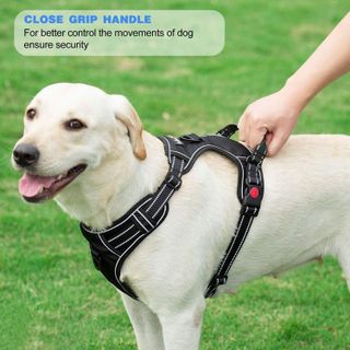 No. 9 - tobeDRI No Pull Dog Harness - 5