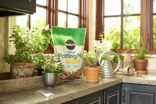 No. 6 - Miracle-Gro Indoor Potting Mix - 5