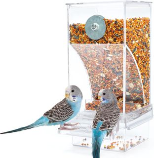 No. 9 - Automatic Parrot Feeder - 1