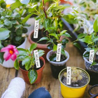 No. 5 - AMORNING 100Pcs 4 Inch Plant Labels - 5