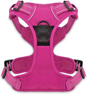 No. 10 - Voyager Dog Harness - 2