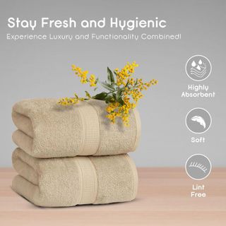 No. 7 - Ariv Towels 2-Piece Jumbo Premium Cotton Bath Sheets - 3