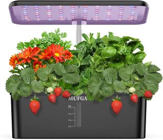 Top 10 Best Hydroponic Growing Kits for Indoor Gardening- 3