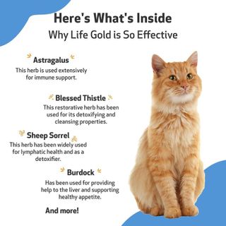 No. 9 - Life Gold Cat Antioxidant Supplement - 5