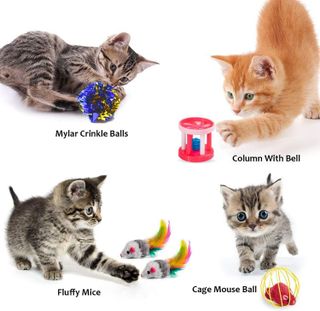 No. 4 - AILUKI 31 PCS Cat Toys Value Pack - 4