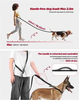 No. 7 - Heelay Hands Free Dog Leash - 2