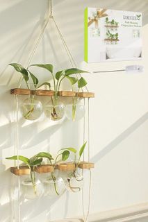 Top 10 Terrariums and Plant Propagation Stations for Stylish Home Decor- 5