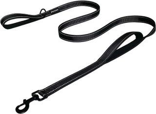 10 Best Dog Training Leashes to Ensure Pet Safety and Control- 2