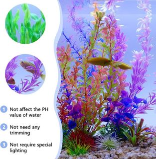 No. 7 - Fishdance Aquarium Plants - 3