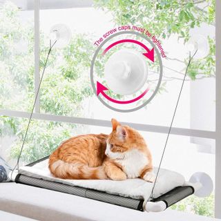 Top 10 Best Cat Window Perches for Ultimate Comfort and Entertainment- 4