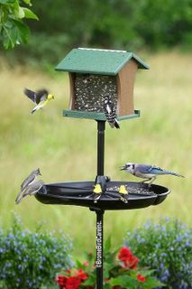 No. 2 - Brome Bird Care Bird Feeder Seed Guard - 4