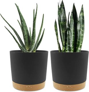 No. 3 - QCQHDU Plant Pots Set of 2 - 1