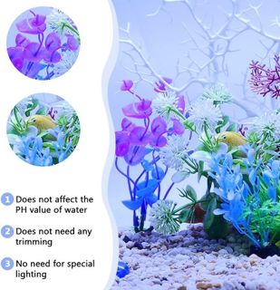 No. 2 - Fishdance Aquarium Plants - 4