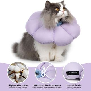 No. 6 - H HIDREAM Cat Cone Collar - 3