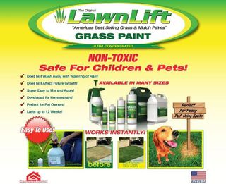 No. 10 - LawnLift Grass Paint - 2