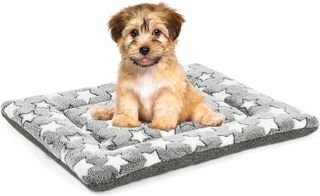 No. 9 - Kigmmro Dog Bed Mat - 1