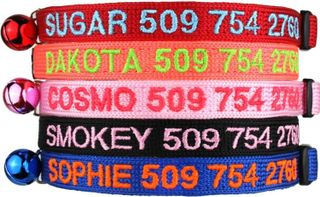 No. 10 - GoTags Personalized Breakaway Cat Collar - 1