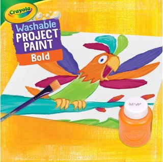 No. 9 - Crayola Project Washable Paint - 4