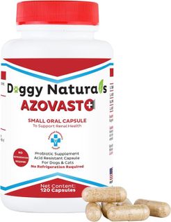 No. 3 - Azovast Plus Kidney Health Supplement - 1