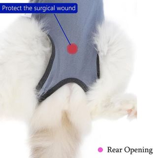 No. 2 - kzrfojy Cat Surgery Recovery Suit Cat Onesie - 4