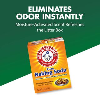 No. 9 - Arm & Hammer Cat Litter Deodorizer - 3