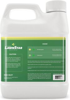 No. 4 - LawnStar Grass Paint - 3