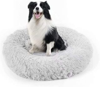 No. 1 - DogBaby Dog Bed - 1