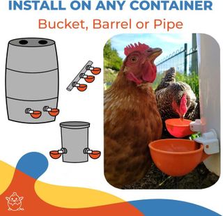 No. 2 - Lil'Clucker Poultry Waterer - 5