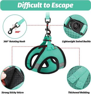 No. 3 - FAYOGOO Cat Harness and Leash Set - 3