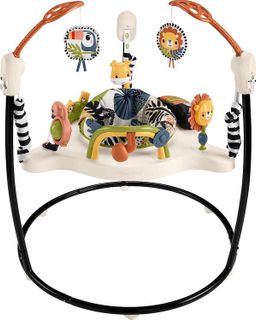 No. 10 - Fisher-Price Palm Paradise Jumperoo - 1