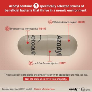 No. 5 - Azodyl Probiotic Caps - 4