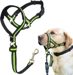 No. 10 - Muzzle Leash for Heavy Pullers - 1
