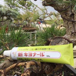 No. 8 - Kiyonal Bonsai Pruning Cutting Paste - 5