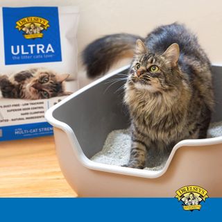 No. 2 - Dr. Elsey’s Premium Clumping Cat Litter - 5