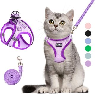 No. 8 - Surepet Cat Harness and Leash Set - 1