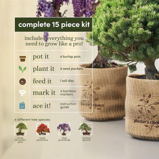 No. 5 - Planters' Choice Bonsai Kit - 3
