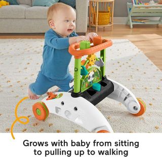 No. 7 - Fisher-Price 2-Sided Steady Speed Panda Walker - 3