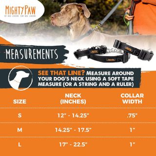 No. 8 - Mighty Paw Martingale Dog Collar 2.0 - 2