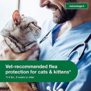 No. 5 - Advantage II Small Cat Vet-Recommended Flea Treatment & Prevention - 5