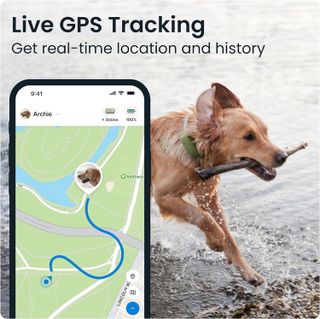 No. 2 - Tractive Dog GPS Tracker - 3