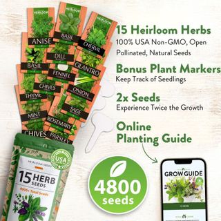 No. 2 - 4500+ Heirloom Herb Seed Pack - 3