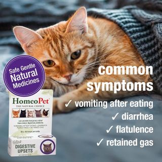 No. 4 - HomeoPet Feline Digestive Upsets - 3