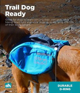 No. 7 - Outward Hound DayPak Blue Dog Saddleback Backpack - 4