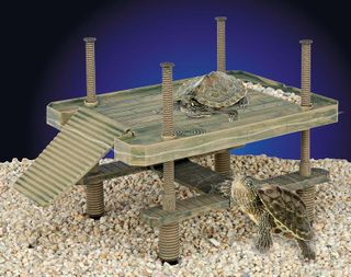 No. 8 - Reptology Floating Turtle Pier - 2